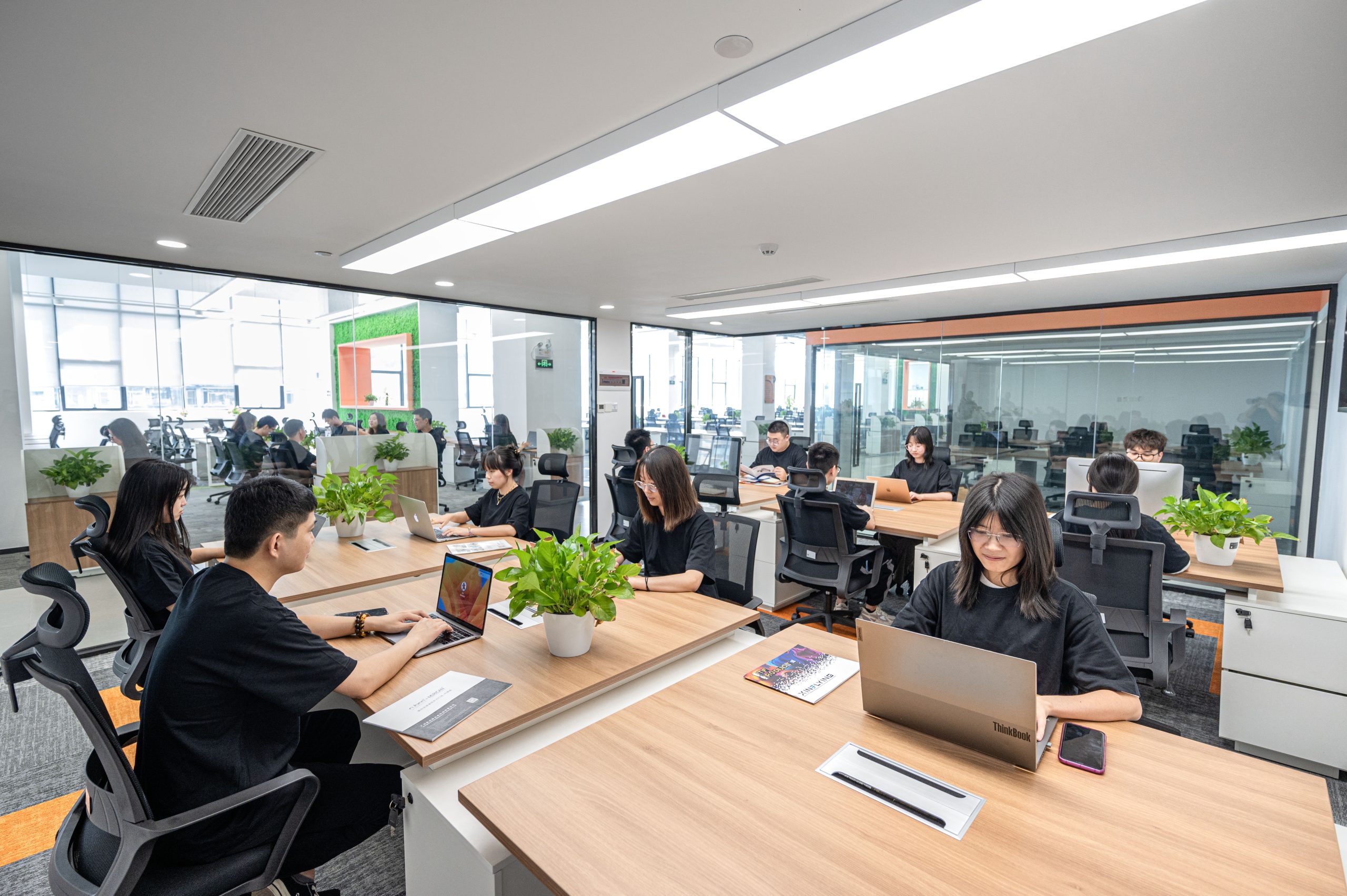 团队工作照（工位）